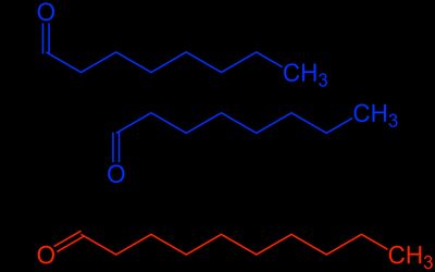 Trygyceride Chain