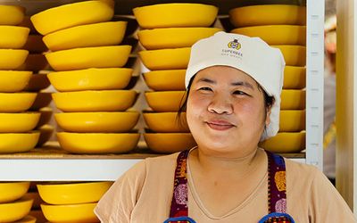 All About Beeswax: 9 Amazing Facts