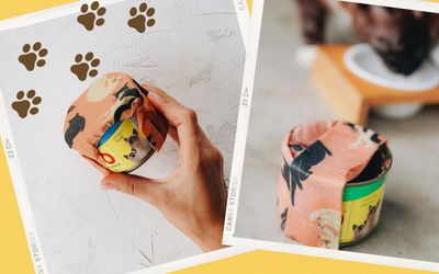 Canned Cat Food Storage Ideas: The Purrfect Plastic-free Solution!
