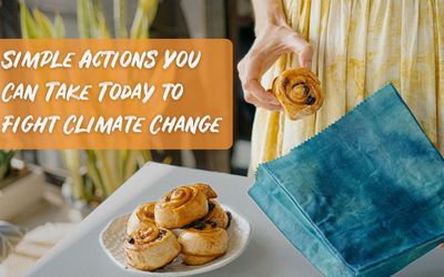 5 Easy Ways to Take Action for Earth Day