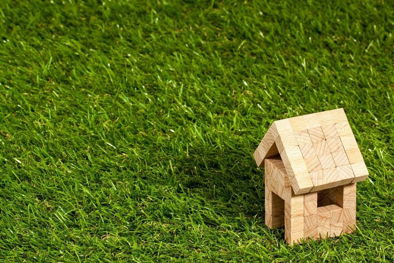 How to Detox Your Home