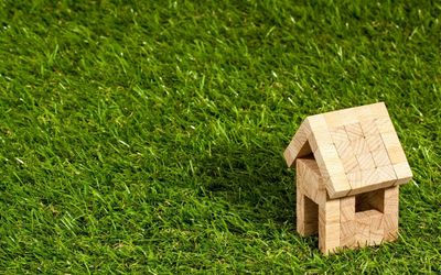 How to Detox Your Home
