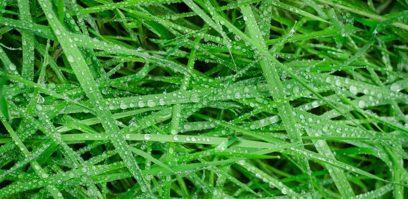 Our Favourite Green Living Blogs