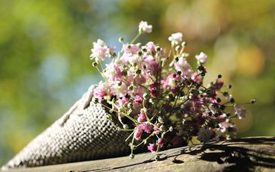 Sustainable Gift Ideas for Mother’s Day