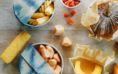 12 Tips for an Eco-Friendly Thanksgiving