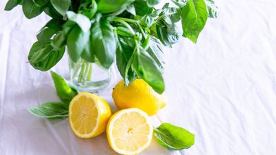 lemons
