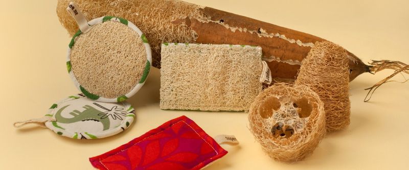 9 Reasons Why Natural Loofah Sponges Are Way Better than Plastic!
