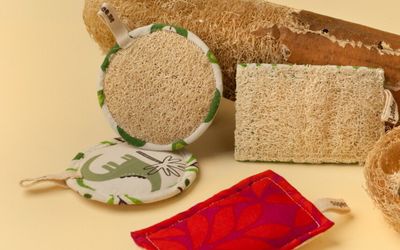 9 Reasons Why Natural Loofah Sponges Are Way Better than Plastic!