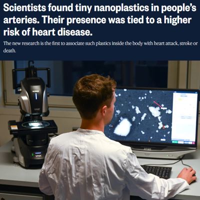 a scientist studies microplastic found in human body
