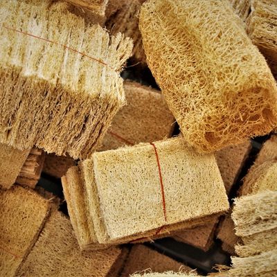 natural loofah