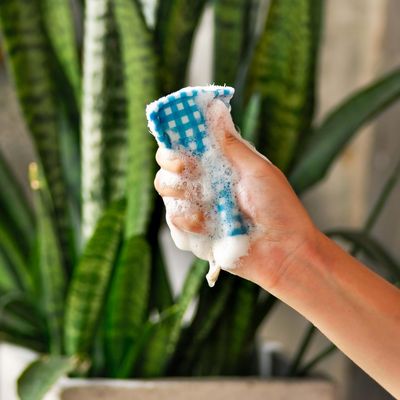 squishy loofah sponge