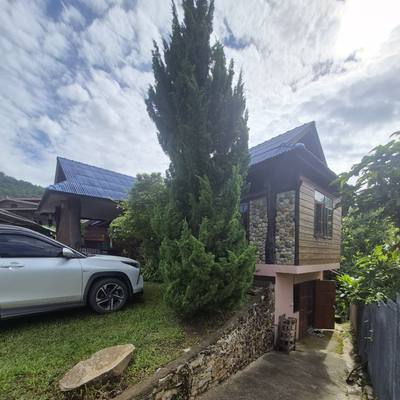 The driveway at SuperBee HQ, the cypress and the stone house behind