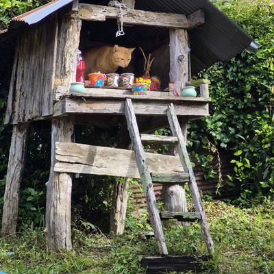 The spirit house in the garden at SuperBee HQ, with a cat asleep inside