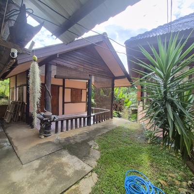 The workshop entrance under its wooden porch, a yucca beside the steps