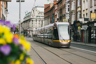 Sustainable Transportation in the city