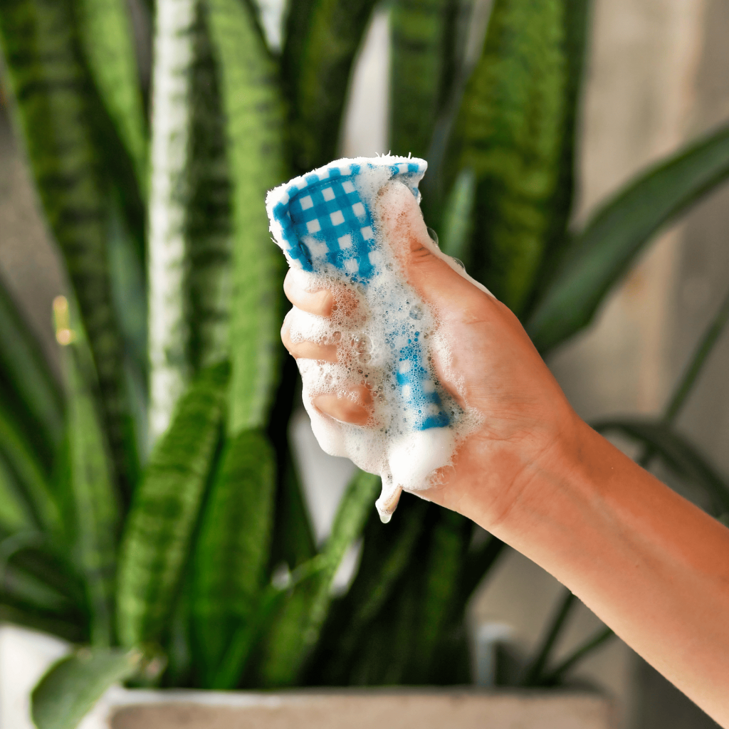 natural loofah that's good for washing dishes being rung out with soap suds
